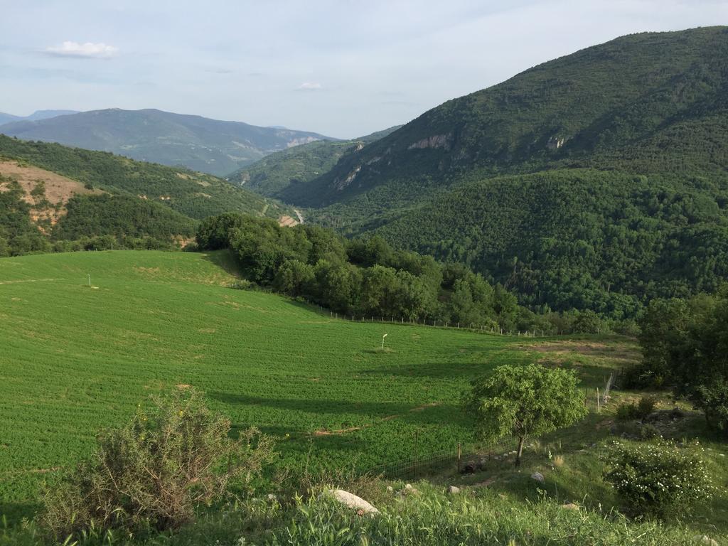Апартаменти La Fusteria Del Casat Sarroca de Bellera Екстер'єр фото